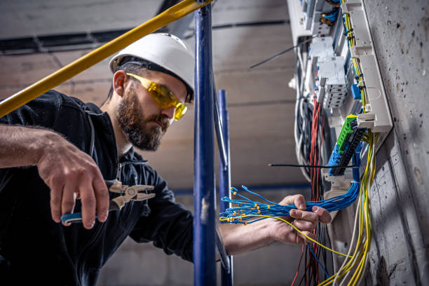 Best Electric Panel Repair  in Marion, MS